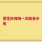 灵芝片炖鸡一次放多少克