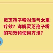灵芝孢子粉对湿气太重疗效？详解灵芝孢子粉的功效和使用方法？