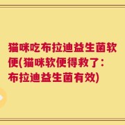 猫咪吃布拉迪益生菌软便(猫咪软便得救了：布拉迪益生菌有效)