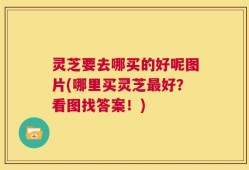 灵芝要去哪买的好呢图片(哪里买灵芝最好？看图找答案！)