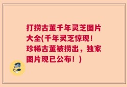 打捞古董千年灵芝图片大全(千年灵芝惊现！珍稀古董被捞出，独家图片现已公布！)