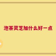 泡茶灵芝加什么好一点