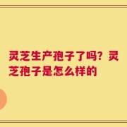 灵芝生产孢子了吗？灵芝孢子是怎么样的