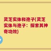 灵芝实体和孢子(灵芝实体与孢子：探索其神奇功效)