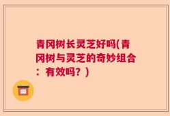 青冈树长灵芝好吗(青冈树与灵芝的奇妙组合：有效吗？)