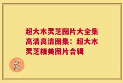 超大木灵芝图片大全集高清高清图集：超大木灵芝精美图片合辑