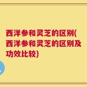 西洋参和灵芝的区别(西洋参和灵芝的区别及功效比较)