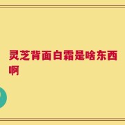 灵芝背面白霜是啥东西啊