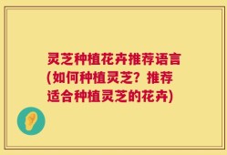 灵芝种植花卉推荐语言(如何种植灵芝？推荐适合种植灵芝的花卉)