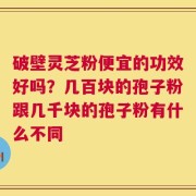 破壁灵芝粉便宜的功效好吗？几百块的孢子粉跟几千块的孢子粉有什么不同