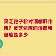 灵芝孢子粉对酒精肝作用？灵芝适应的湿度和湿度是多少