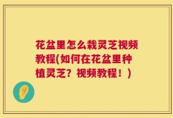 花盆里怎么栽灵芝视频教程(如何在花盆里种植灵芝？视频教程！)