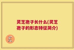 灵芝孢子长什么(灵芝孢子的形态特征简介)