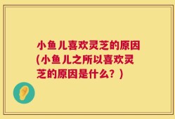 小鱼儿喜欢灵芝的原因(小鱼儿之所以喜欢灵芝的原因是什么？)