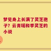 梦见身上长满了灵芝孢子？云青瑶和季灵芝的小说