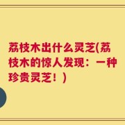 荔枝木出什么灵芝(荔枝木的惊人发现：一种珍贵灵芝！)