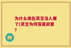 为什么现在灵芝没人要了(灵芝为何落寞寂寞？