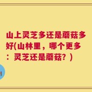 山上灵芝多还是蘑菇多好(山林里，哪个更多：灵芝还是蘑菇？)