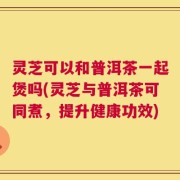 灵芝可以和普洱茶一起煲吗(灵芝与普洱茶可同煮，提升健康功效)