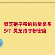 灵芝孢子粉的热量是多少？灵芝孢子粉密度
