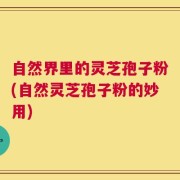 自然界里的灵芝孢子粉(自然灵芝孢子粉的妙用)