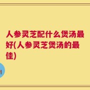 人参灵芝配什么煲汤最好(人参灵芝煲汤的最佳)