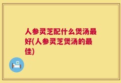 人参灵芝配什么煲汤最好(人参灵芝煲汤的最佳)