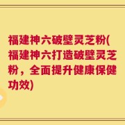 福建神六破壁灵芝粉(福建神六打造破壁灵芝粉，全面提升健康保健功效)