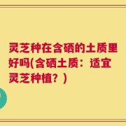 灵芝种在含硒的土质里好吗(含硒土质：适宜灵芝种植？)