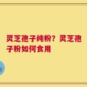 灵芝孢子纯粉？灵芝孢子粉如何食用