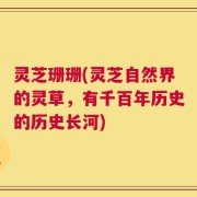 灵芝珊珊(灵芝自然界的灵草，有千百年历史的历史长河)