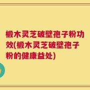 椴木灵芝破壁孢子粉功效(椴木灵芝破壁孢子粉的健康益处)