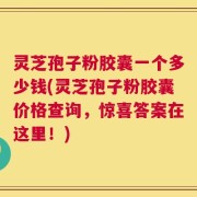 灵芝孢子粉胶囊一个多少钱(灵芝孢子粉胶囊价格查询，惊喜答案在这里！)