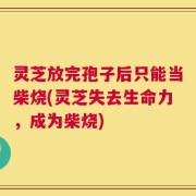 灵芝放完孢子后只能当柴烧(灵芝失去生命力，成为柴烧)
