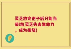 灵芝放完孢子后只能当柴烧(灵芝失去生命力，成为柴烧)