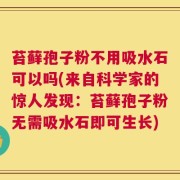 苔藓孢子粉不用吸水石可以吗(来自科学家的惊人发现：苔藓孢子粉无需吸水石即可生长)