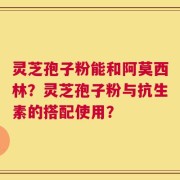 灵芝孢子粉能和阿莫西林？灵芝孢子粉与抗生素的搭配使用？