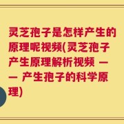灵芝孢子是怎样产生的原理呢视频(灵芝孢子产生原理解析视频 —— 产生孢子的科学原理)