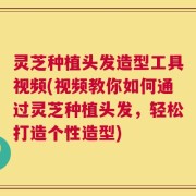 灵芝种植头发造型工具视频(视频教你如何通过灵芝种植头发，轻松打造个性造型)