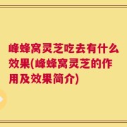峰蜂窝灵芝吃去有什么效果(峰蜂窝灵芝的作用及效果简介)
