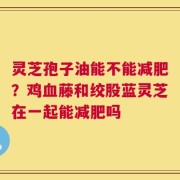 灵芝孢子油能不能减肥？鸡血藤和绞股蓝灵芝在一起能减肥吗