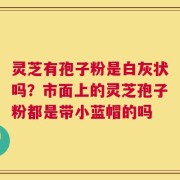 灵芝有孢子粉是白灰状吗？市面上的灵芝孢子粉都是带小蓝帽的吗