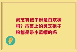 灵芝有孢子粉是白灰状吗？市面上的灵芝孢子粉都是带小蓝帽的吗