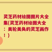 灵芝药材绘图图片大全集(灵芝药材绘图大全：美轮美奂的灵芝画作！)