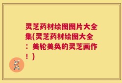 灵芝药材绘图图片大全集(灵芝药材绘图大全：美轮美奂的灵芝画作！)