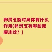 卵灵芝能对身体有什么作用(卵灵芝有哪些健康功效？)