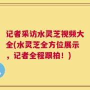 记者采访水灵芝视频大全(水灵芝全方位展示，记者全程跟拍！)