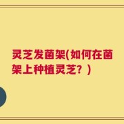 灵芝发菌架(如何在菌架上种植灵芝？)
