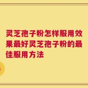 灵芝孢子粉怎样服用效果最好灵芝孢子粉的最佳服用方法