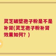 灵芝破壁孢子粉是不是补肾(灵芝孢子粉补肾效果如何？)